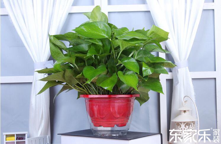 剛裝修完的屋子里含有哪些無害物資?哪些方式能夠或許去除?