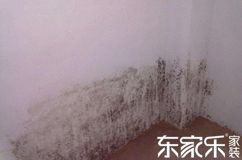 墻面發霉是甚么緣由致使的？